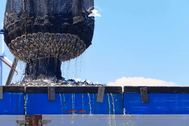Pemandangan kerja perikanan dengan kapal penangkap ikan besar Jepang yang melakukan operasi penangkapan ikan skala besar.