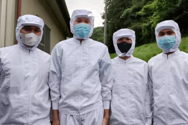 Siswa magang dan ssw yang Pengolahan Makanan dan Minuman di jepang